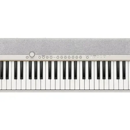 CASIO CT-S1 WE