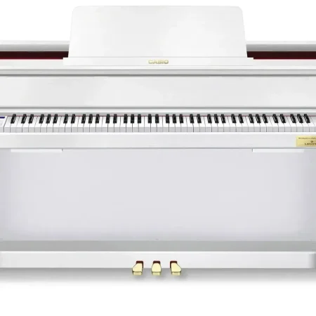 CASIO GP-310 WE