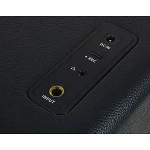 Комбопідсилювач MOOER Hornet 15i (Black)
