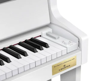 Цифрове піаніно Casio Celviano GP-310 Grand Hybrid WE
