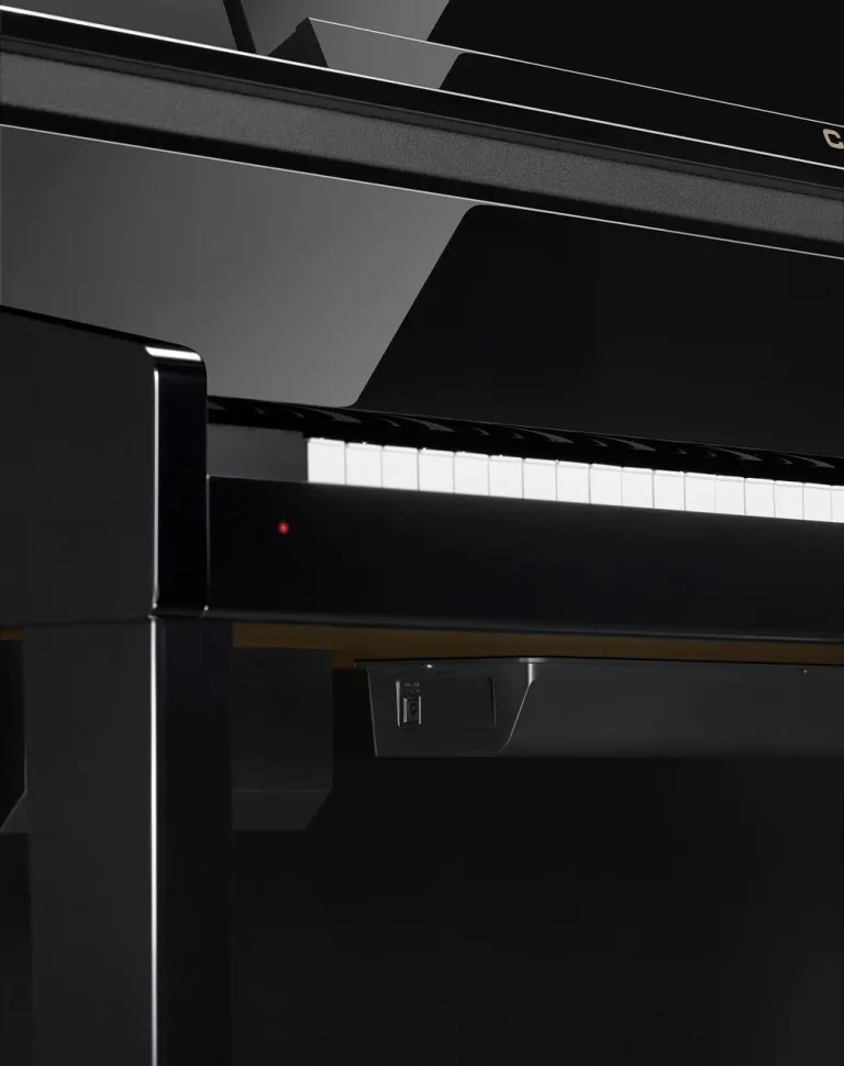 Цифрове піаніно Casio Celviano GP-510 Grand Hybrid BP