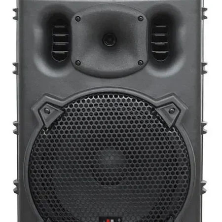 Акустична система HL AUDIO B10