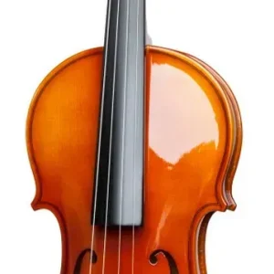 Скрипка Stagg VN-4/4