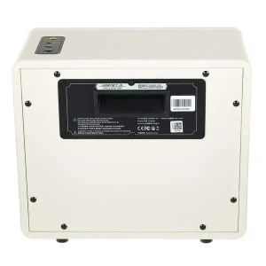 Комбопідсилювач MOOER Hornet 15i (White)
