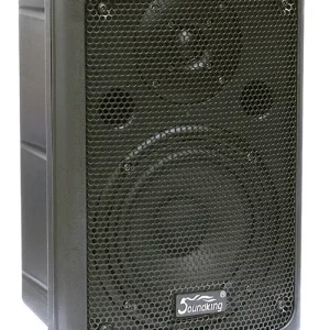 Акустична система SOUNDKING FP208A