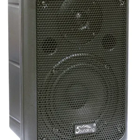 Акустична система SOUNDKING FP208A