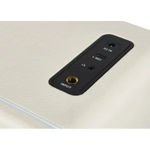 Комбопідсилювач MOOER Hornet 15i (White)