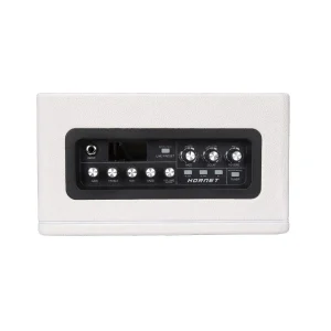 Комбопідсилювач MOOER Hornet White