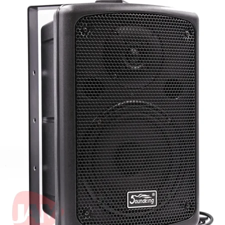 Акустична система SOUNDKING FP208A
