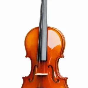 Скрипка STAGG VN-1/2